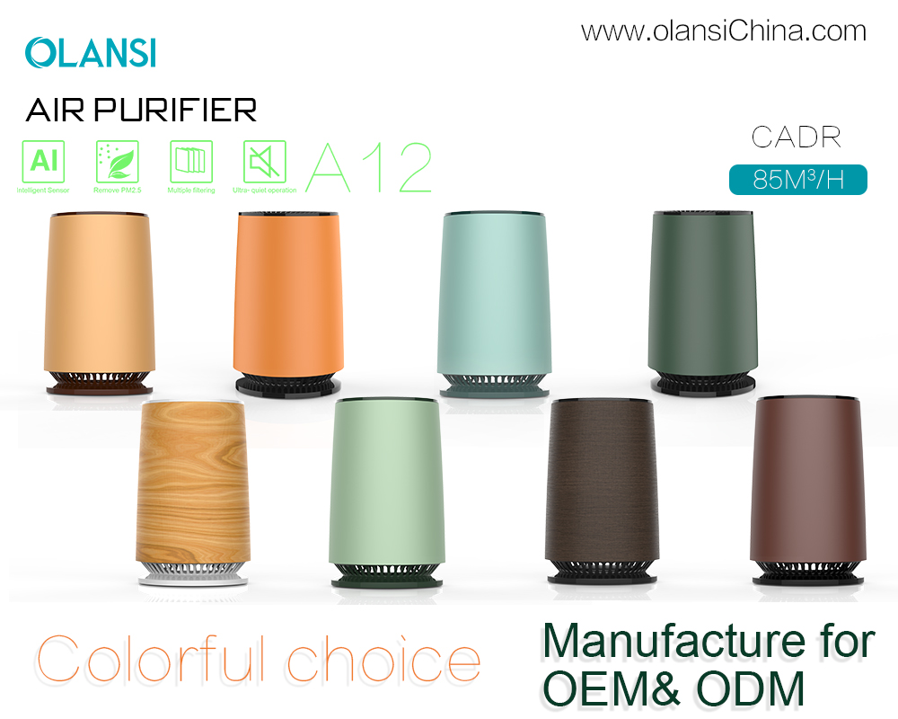 Olansi luchtreiniger leveranciers (15)