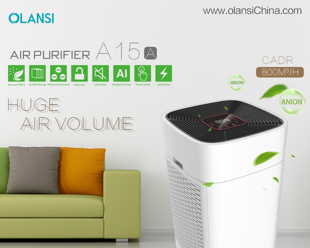China Olansi Air Purifier Fabrikant (73)
