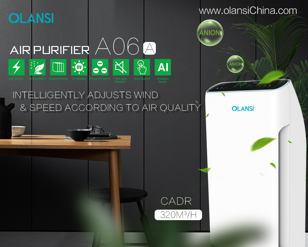 China Olansi Air Purifier Fabrikant (46)