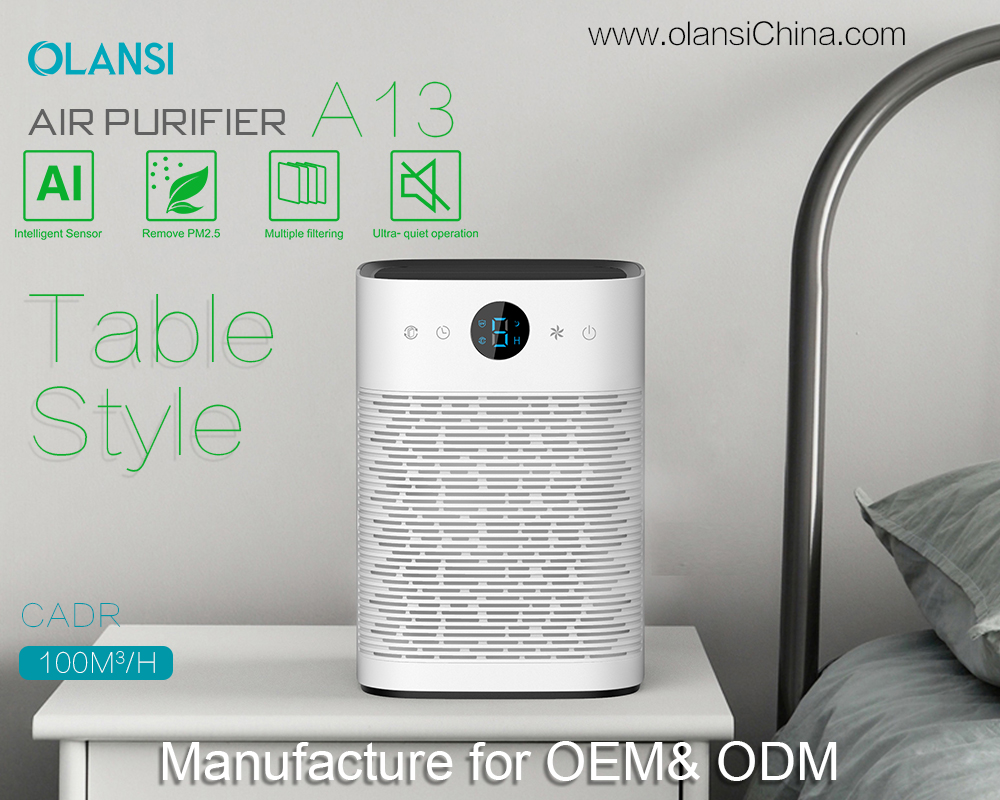 Olansi Air Purifier Leveranciers (5)