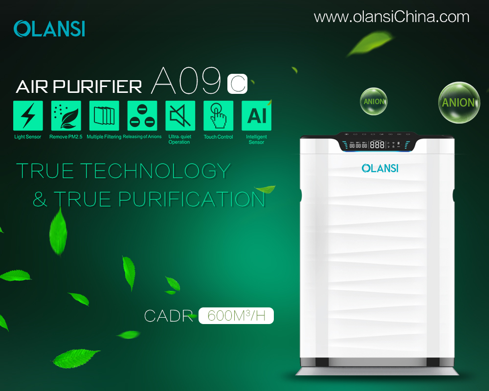 China Olansi Air Purifier Fabrikant (71)