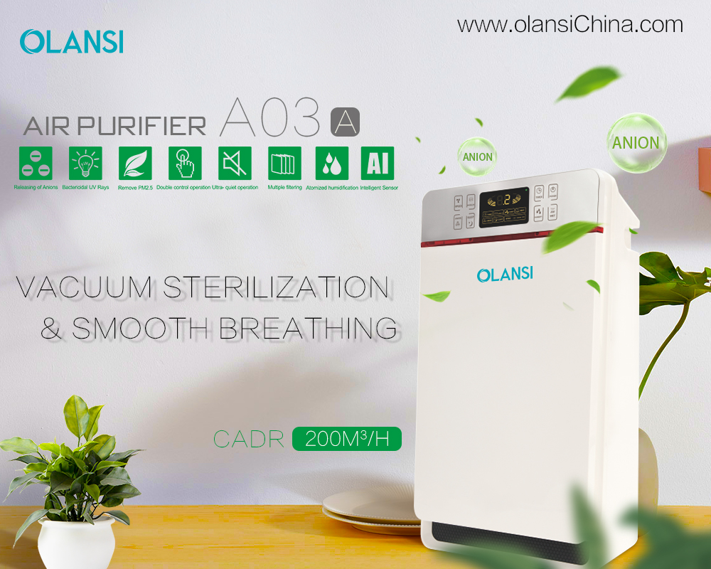 China Olansi Air Purifier Fabrikant (28)