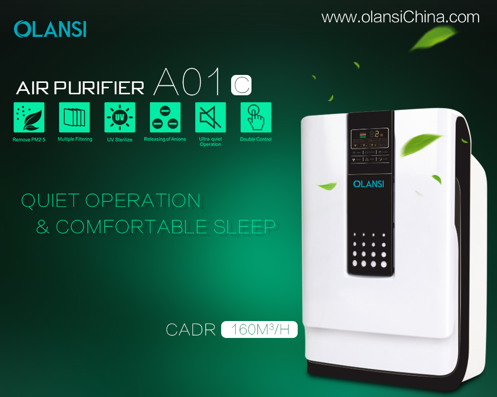 China Olansi Air Purifier Fabrikant (17)