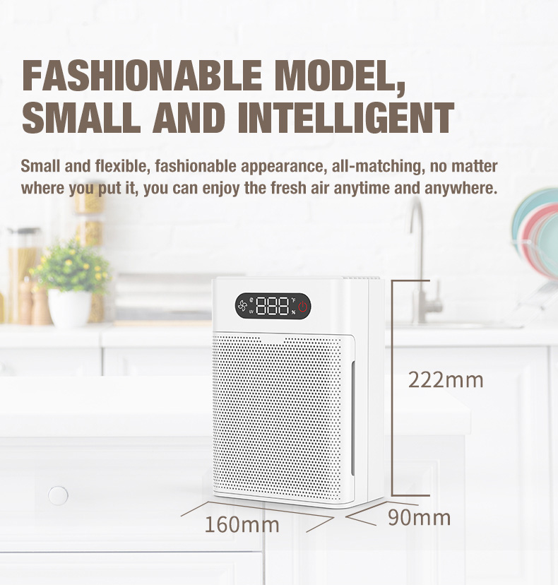 Olansi A1 Air Purifier Leverancier (3)