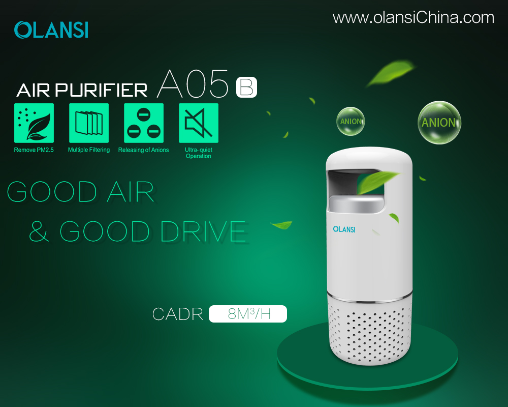 China Olansi Air Purifier Fabrikant (44)
