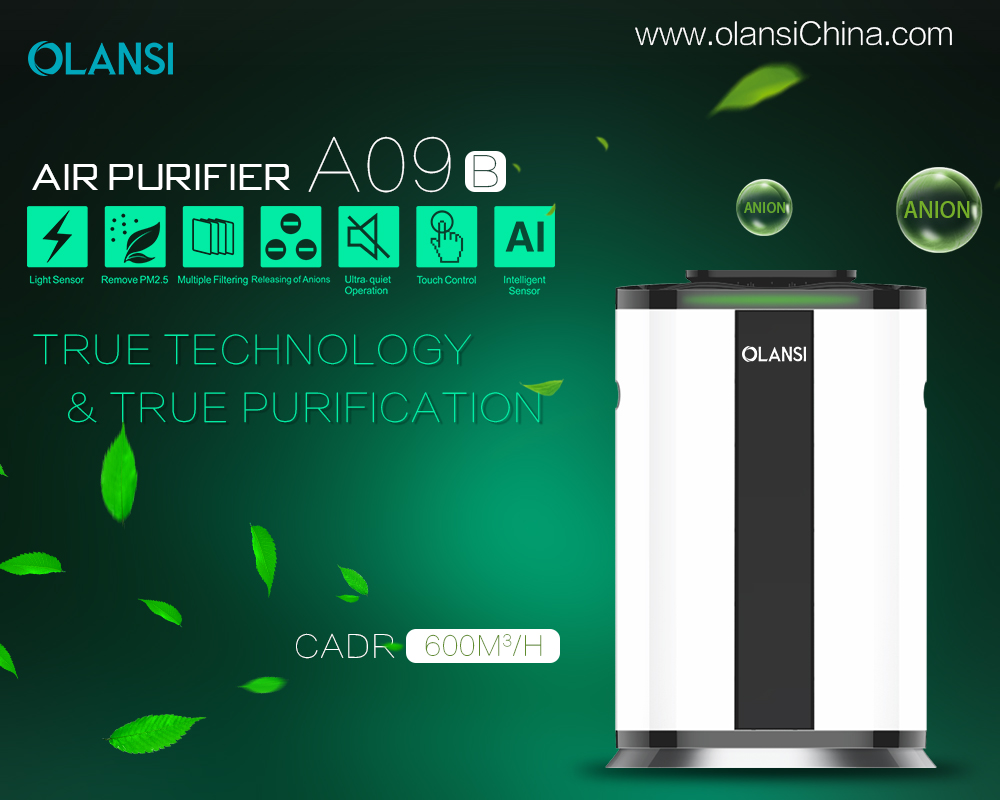 China Olansi Air Purifier Fabrikant (68)