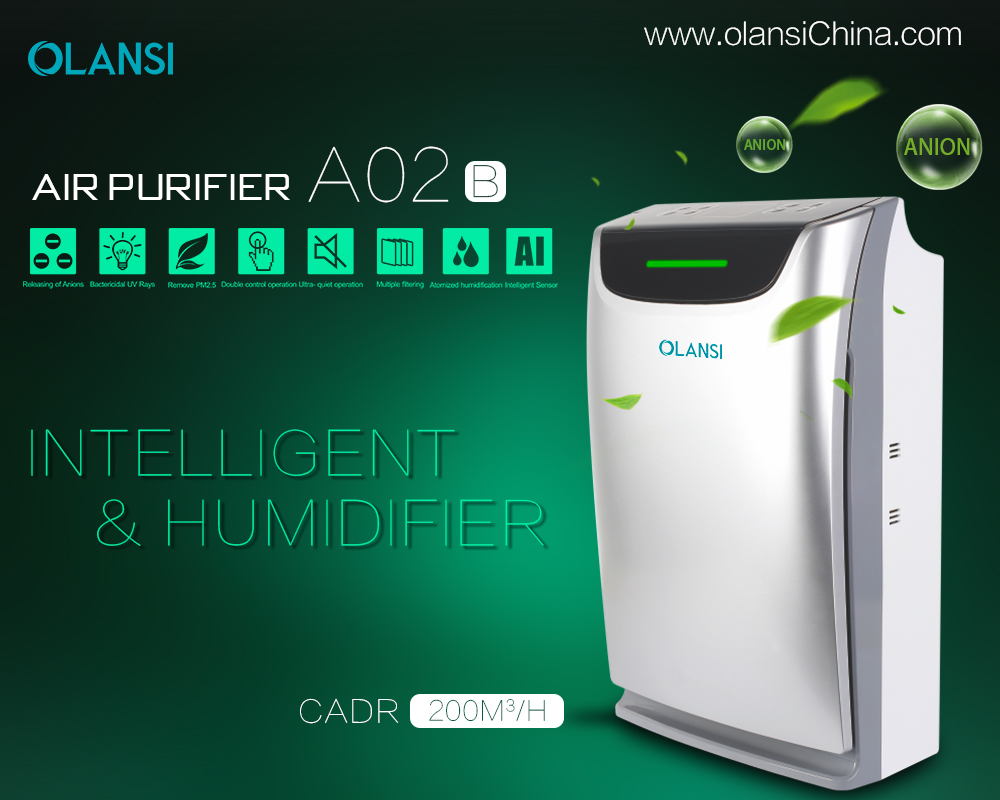 China Olansi Air Purifier Fabrikant (23)