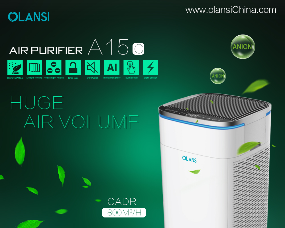 China Olansi Air Purifier Manufacturer (80)