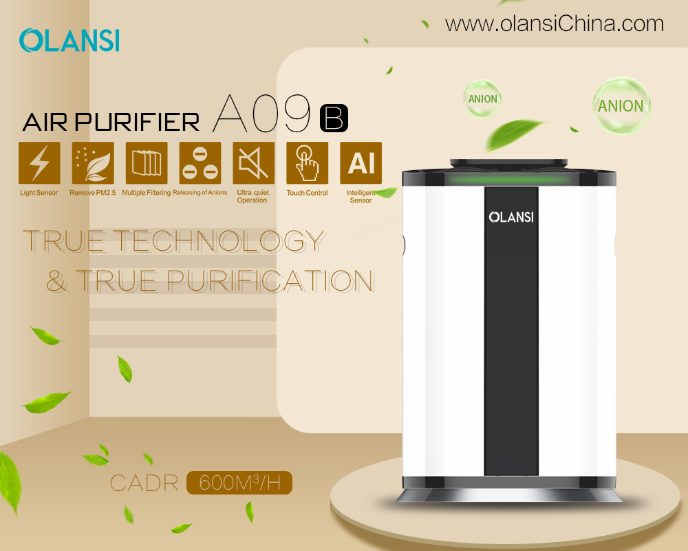 China Olansi Air Purifier Fabrikant (69)