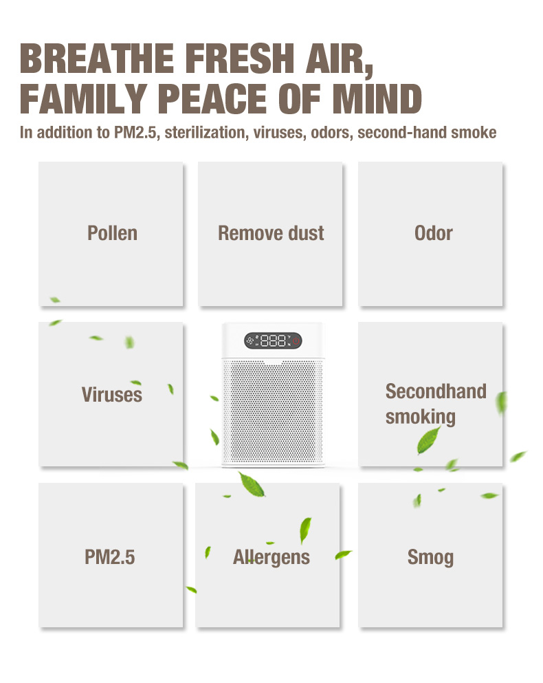 Olansi A1 Air Purifier Leverancier (6)