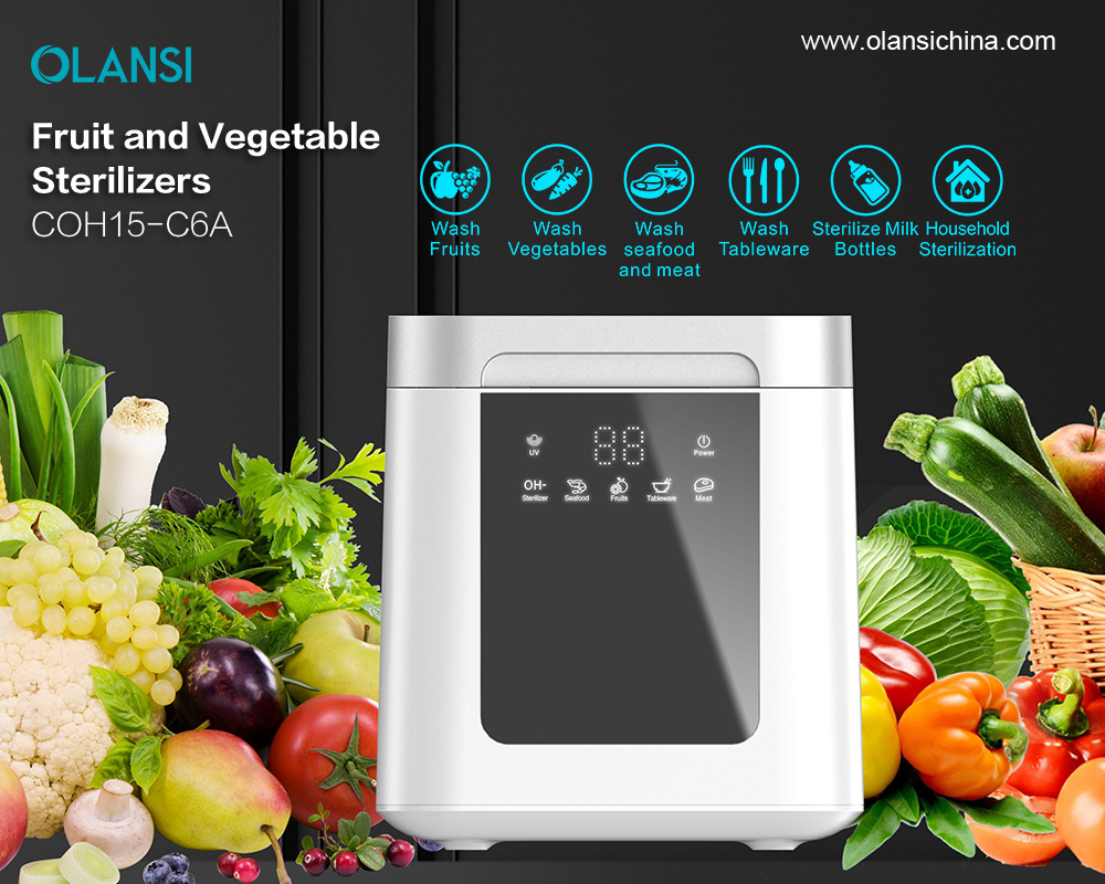 Beste ultrasone ozon fruit- en groentewasmachine-reinigingsmachine en groente-fruitsterilisatorreiniger Wasmachine voor thuis in de VS en Canada